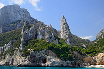 Monte Caroddi / Aguglia limestone rock pinnacle on coast, Cala Goloritze, Gulf of Orosei, Gennargentu National Park, Baunei, Sardinia, Italy. June 2018.