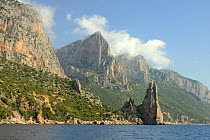 Punta Pedra Longa and Monte Ginnircu, coastal garrigue. Gennargentu National Park, Gulf of Orosei, near Baunei, Sardinia. June 2018.