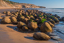 Bowling Ball Beach at Schooner Gulch State Beach on the Pacific Ocean shore in Mendocino County, California, USA. February 2014. The &#39;bowling balls&#39; are concretions weathered out of the steepl...