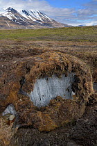 Melting permafrost. Near Longyearbyen, Spitsbergen, Svalbard, Norway. June.