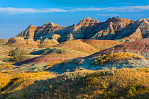 Late afternoon light warms the colors in the Yellow Mounds area, Badlands National Park, South Dakota, USA, September.
