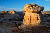 Hoodoo with caprock at sunset. Escalante Canyons Wilderness Area, Utah, USA, October.