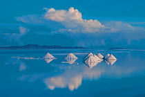 Salt cones on the Salar de Uyuni, Bolivia., March. The Salar is the world&#39;s largest salt flat, at over 10500 square kilometres. Salt is shoveled into these cones, to be collected later. March 2012...