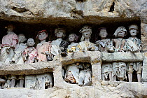Tau tau, effigies of the dead carved in wood, in walls of Tana Toraja cemetery. The Toraja culture of West and South Sulawesi revolves around death with funeral ceremonies an important part of daily l...