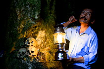 Man with lantern lighting up skulls on rock at Toraja cemetery. The Toraja culture of West and South Sulawesi revolves around death with funeral ceremonies an important part of daily life. Indonesia....