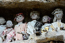 Tau tau, effigies of the dead carved in wood at Tana Toraja cemetery. Toraja is an ethnic group in West and South Sulawesi. The culture revolves around death with funeral ceremonies an important part...