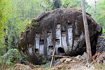 Rock at Toraja cemetery, Tana Toraja. Toraja is an ethnic group in West and South Sulawesi. The culture revolves around death with funeral ceremonies an important part of daily life. Indonesia. 2015.