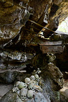 Skulls and coffins in rock wall and caves of Toraja cemetery. The Toraja culture of West and South Sulawesi revolves around death with funeral ceremonies an important part of daily life. Indonesia. 20...
