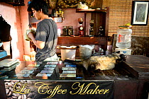 Coffee shop with Asian palm civet (Paradoxurus hermaphroditus) on counter. Many civets are drugged to sleep quietly and not escape. Coffee beans are fed to civets, ferment in the gut, excreted and use...