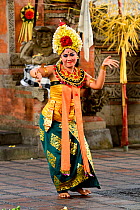 Woman dancing traditional Balinese dance. Ubud, Bali, Indonesia. 2015.