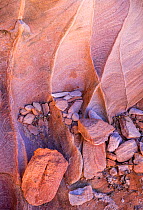 Patterns in sandstone with cross bedding and flaking in canyon walls. Valley of Fire State Park, Great Basin Desert, Nevada, USA, February.