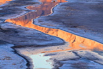 Cottonball Basin salt flats with rivulets reflecting dawn light on the Panamint Range the forms the west side of the valley. Death Valley National Park, Mojave Desert, California, USA, March.