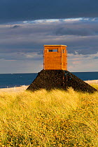 Bird hide, created by Birdwatch Ireland to study and monitor Little tern (Sterna albifrons) colony, indicator species of climate change. County Wicklow, Republic of Ireland. June.
