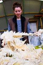 Sorting and grading wool for spinning in woollen mill. North Uist, Scotland, UK, July.