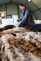 Sorting and grading wool for spinning in woollen mill. North Uist, Scotland, UK, July.