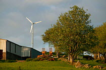 Small wind turbine in farm, Snowdonia National Park, Wales, UK, June.