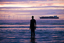 Silhouette of Sir Antony Gormley&#39;s &#39;Another Place&#39; on Crosby beach, with shipping container in distance. Liverpool bay, Mersey Estuary, England, UK, October 2011.