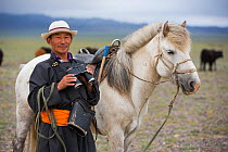 Shepherd with binoculars standing next to horse, looking for cattle. Cattle compete for food with reintroduced Przewalski horse (Equus ferus przewalskii). Great Gobi B Strictly Protected Area, Mongoli...
