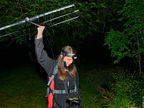 Lucy Bearman-Brown radiotracking a Hedgehog (Erinaceus europaeus) with a transmitter attached, after dark, Hartpury University, Gloucestershire, UK, June 2019. Model released.