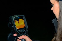Lucy Bearman-Brown using a thermal imager to find Hedgehogs (Erinaceus europaeus) out foraging after dark, Hartpury University, Gloucestershire, UK, June 2019. Model released.