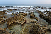 Ancient coral coastline, Xiaoliuqiu Island, Taiwan