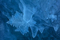 Ice crystals on icicles. Lake Baikal, Siberia, Russia. February.
