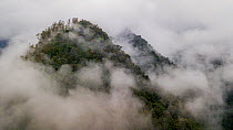 Ecuadorian Western cloudforest landscape. Mindo, Pichincha, Ecuador