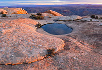 Eroded &#39;pot-hole&#39; with reflection pool, Muley Point, Cedar Mesa, Utah, USA. October.