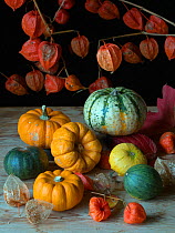 Home-grown pumpkins and Chinese lantern (Physalis alkekengi).
