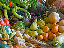 Home-grown fruit and vegetables harvested in the autumn. October.