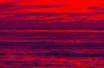 Sunset over Pacific Ocean. La Jolla, San Diego, California, USA.