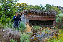 Man with camera on tripod beside bird hide. Faia Brava Reserve. Archaeological Park of the Coa Valley, Western Iberia, Portugal. April 2016.