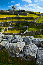 View across fields and drystone walls to O&#39;Brien&#39;s Castle. Inisheer, Aran Islands, County Galway, Republic of Ireland. May 2011.
