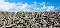 Drystone walls. Inisheer, Aran Islands, County Galway, Republic of Ireland. May 2011.