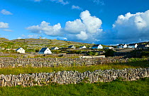 View across drystone walls and fields to Baile An Lurgain Village, Inisheer, Aran Islands, County Galway, Republic of Ireland. May 2011.