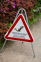 Amphibian crossing sign. Sintra, Portugal. April 2019.