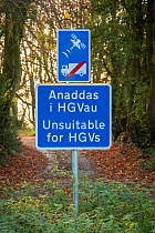 Unsuitable for HGVs sign in Welsh and English at entrance to narrow lane, advising lorry drivers not to follow Sat-nav. Monmouthshire, Wales, UK. 2018.