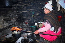 Guinea pig (cuy) (Cavia porcellus) cooking in house at remote paramo community of La Granja, Azuay, Andes, Southern Ecuador.