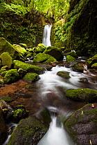 Salto do Prego waterfall flowing over moss covered rocks in woodland. Faial da Terra, Sao Miguel Island, Azores, Portugal. 2019.