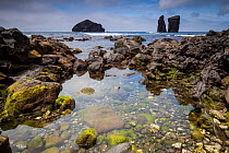 Rock pool in volcanic rock. Sea stacks and island in background. Mosteiros, Sao Miguel Island, Azores, Portugal. 2019.