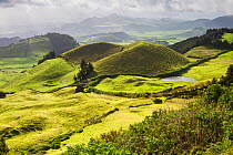 Hilly landscape near Covoada, Ponta Delgada. Sao Miguel Island, Azores, Portugal. 2019.
