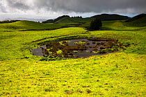 Lake within grassland, in hilly landscape. Near Covoada, Ponta Delgada, Sao Miguel Island, Azores, Portugal. 2019.