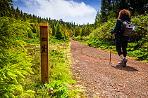 Woman hiking next to footpath waymarker. Devasa mountain range, Sao Miguel Island, Azores, Portugal. 2019.