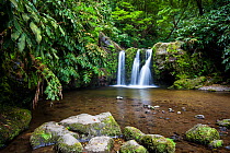 Freshwater pool and waterfall in laurisilva forest. Natural Monument of Caldeira Velha, Ribeira Grande, Sao Miguel Island, Azores, Portugal.