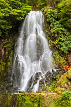 Waterfall flowing through laurisilva forest. Natural Monument of Caldeira Velha, Ribeira Grande, Sao Miguel Island, Azores, Portugal.