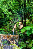Swimming pool at base of waterfall. Natural Monument of Caldeira Velha, Ribeira Grande, Sao Miguel Island, Azores, Portugal. 2019.