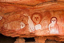 Wandjina style Aboriginal rock art, depiction of people and fish. Raft Point, Doubtful Bay, The Kimberley, Western Australia. 2016.