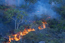 Controlled burning of vegetation. King George River, Koolama Bay, The Kimberley, Western Australia. 2016.