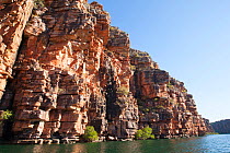 Cliffs on King George River. Koolama Bay, The Kimberley, Western Australia. 2015.