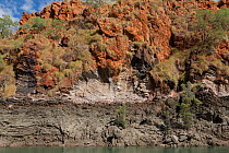 Banded and folded rock on cliff beside Cyclone Creek. Talbot Bay, The Kimberley, Western Australia.